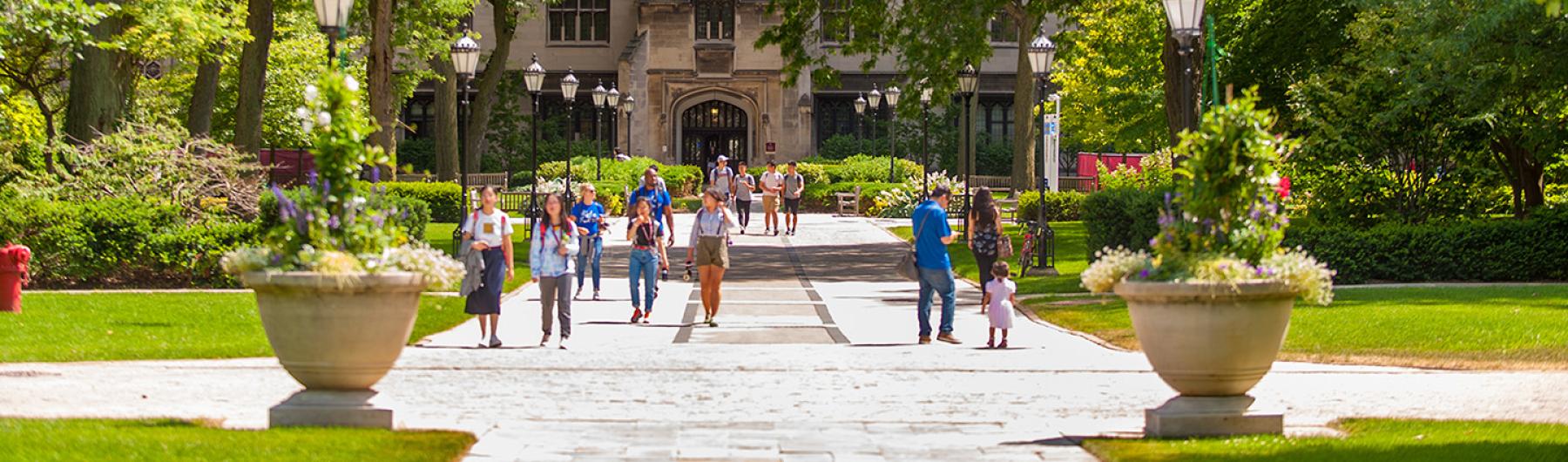 Harper Quad in Summer
