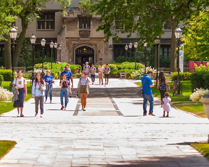 Harper Quad in Summer