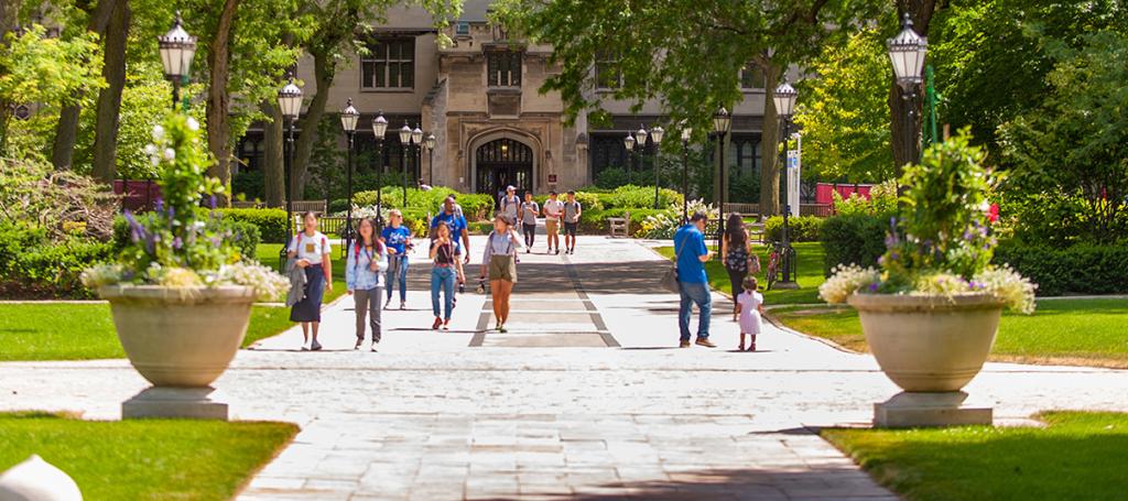 Harper Quad in Summer